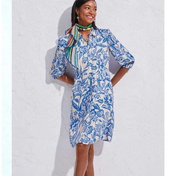 Cabi Athena Dress blue and white - Picture 1 of 4